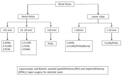 Update on Surgical Management of Pediatric Urolithiasis